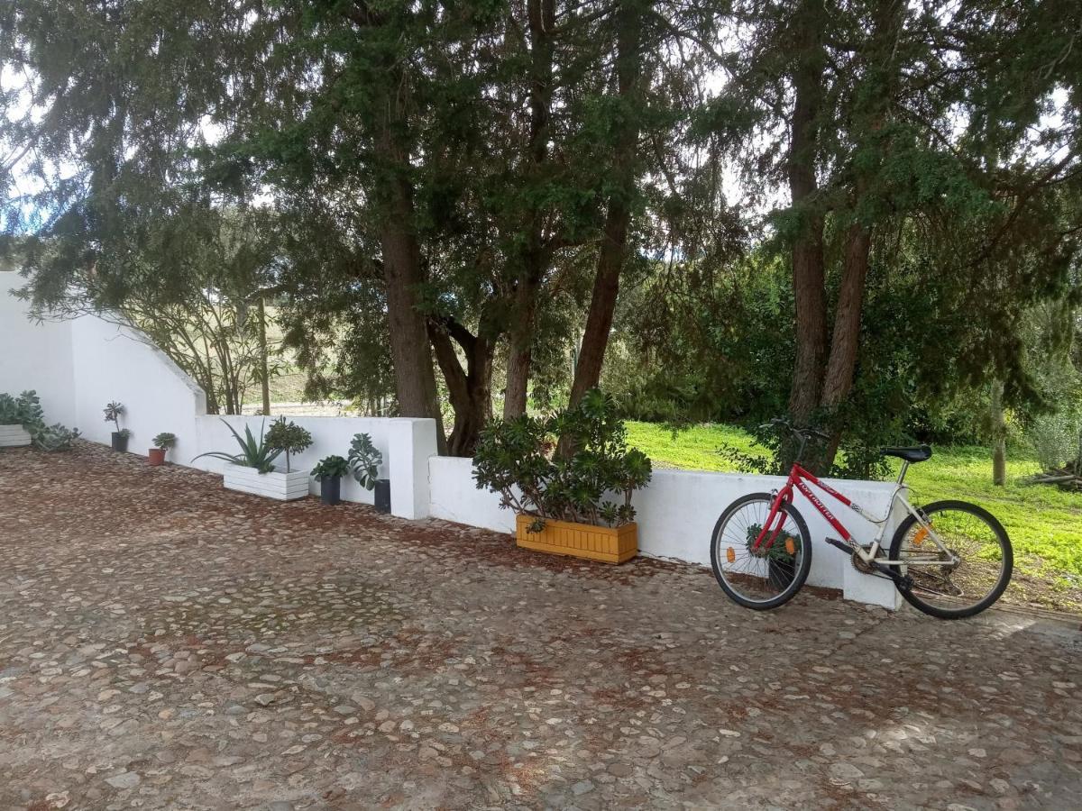 Monte Da Samarra Villa Avis Dış mekan fotoğraf