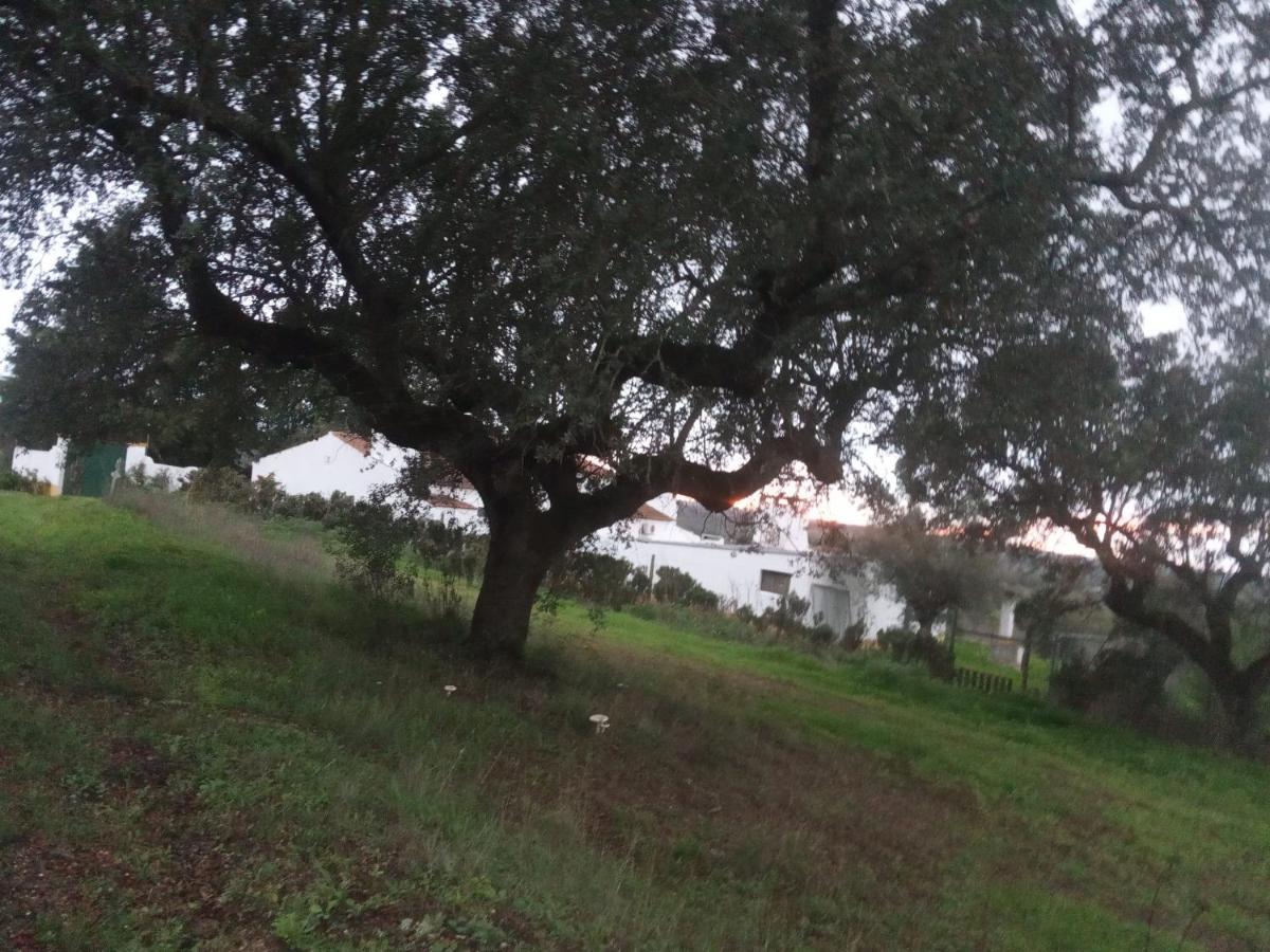 Monte Da Samarra Villa Avis Dış mekan fotoğraf