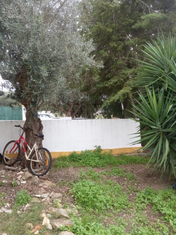 Monte Da Samarra Villa Avis Dış mekan fotoğraf