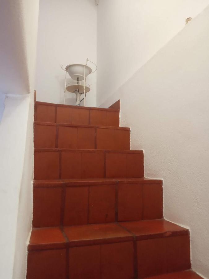 Monte Da Samarra Villa Avis Dış mekan fotoğraf