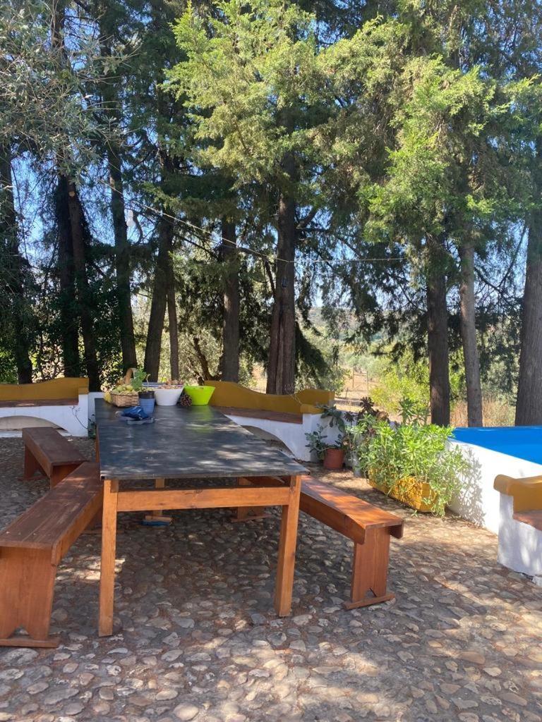 Monte Da Samarra Villa Avis Dış mekan fotoğraf
