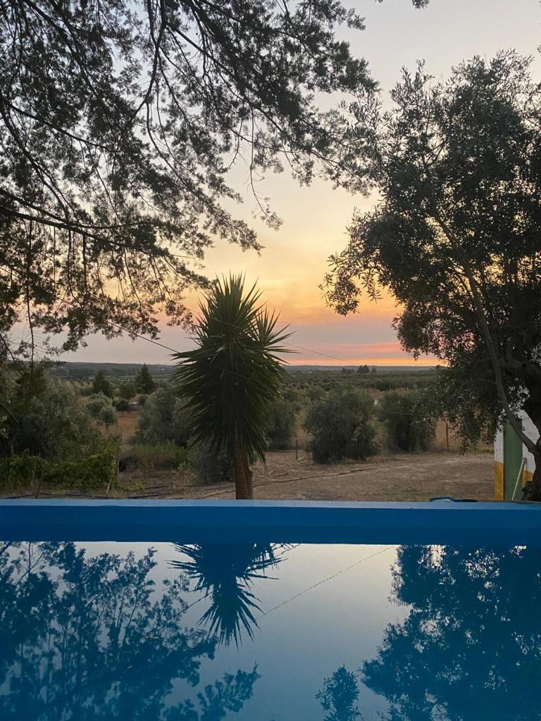 Monte Da Samarra Villa Avis Dış mekan fotoğraf