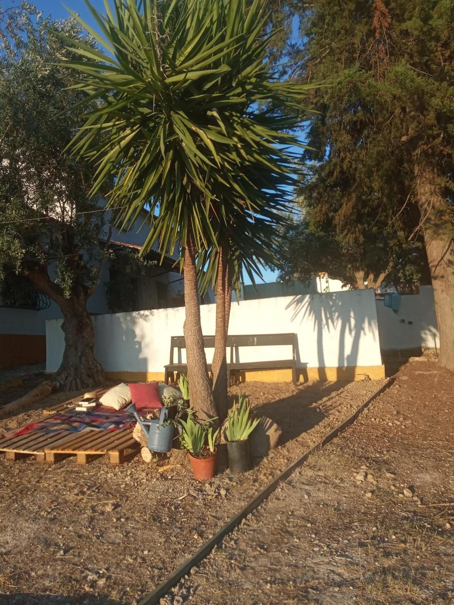 Monte Da Samarra Villa Avis Dış mekan fotoğraf
