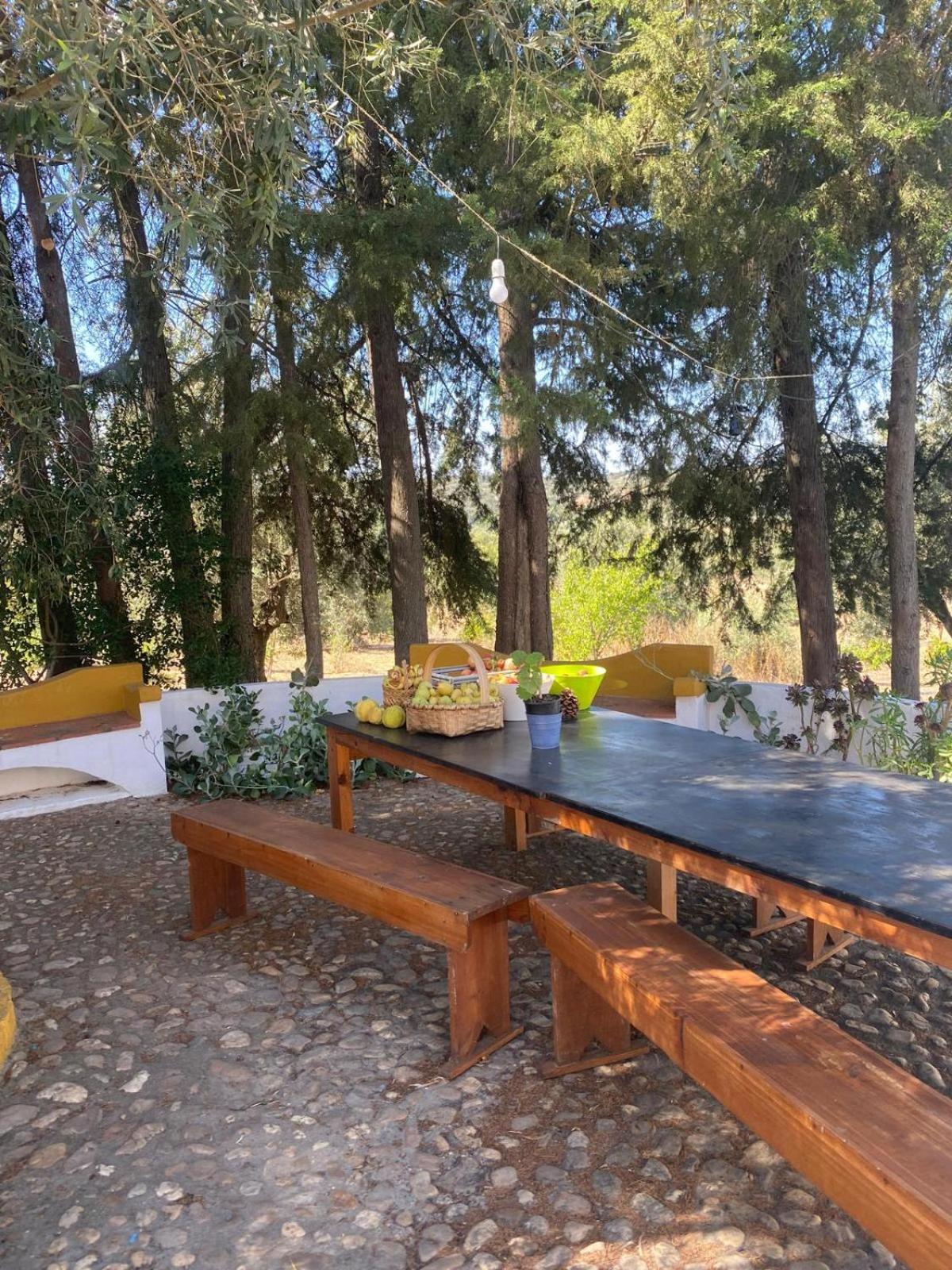 Monte Da Samarra Villa Avis Dış mekan fotoğraf