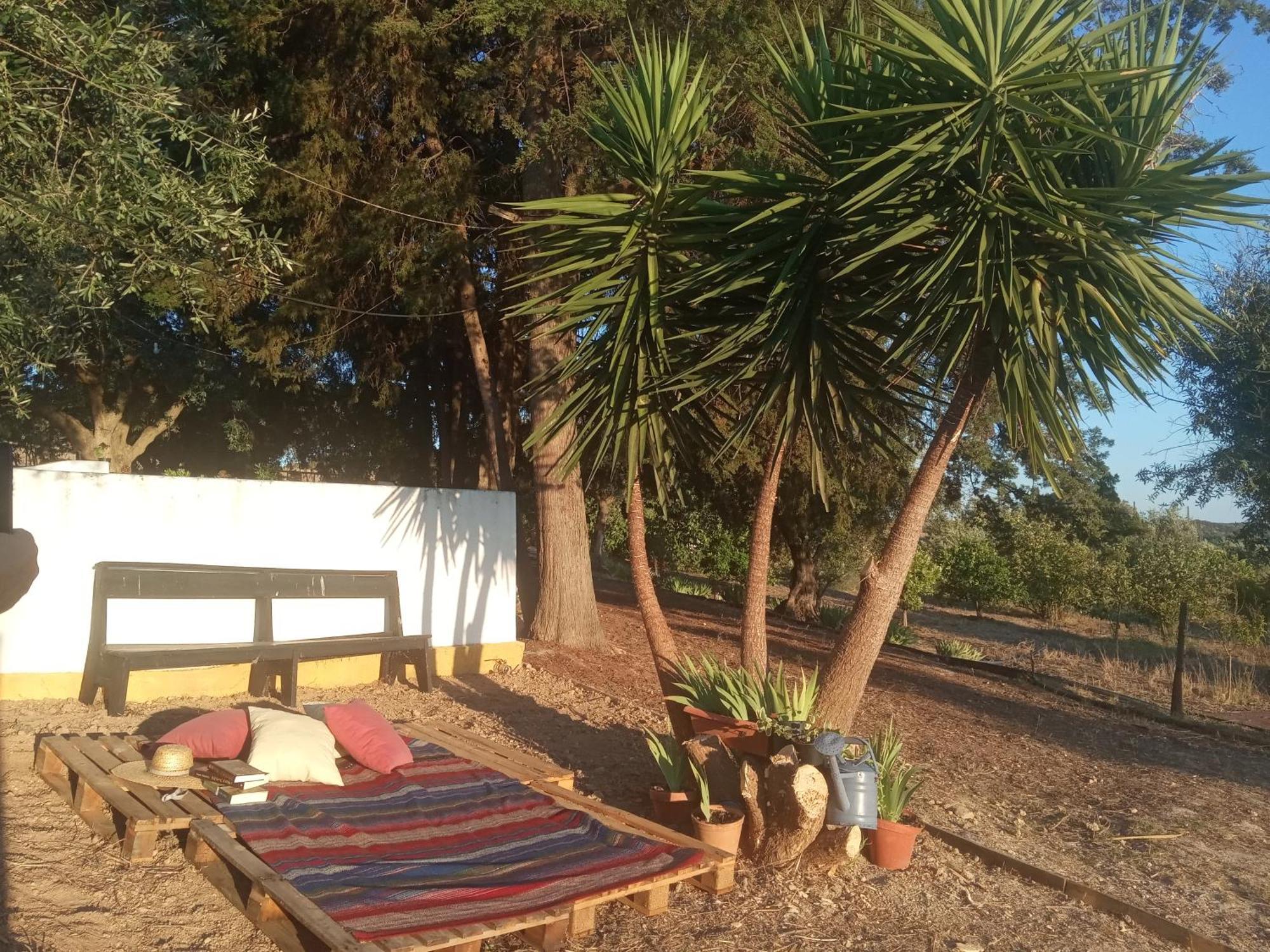 Monte Da Samarra Villa Avis Dış mekan fotoğraf