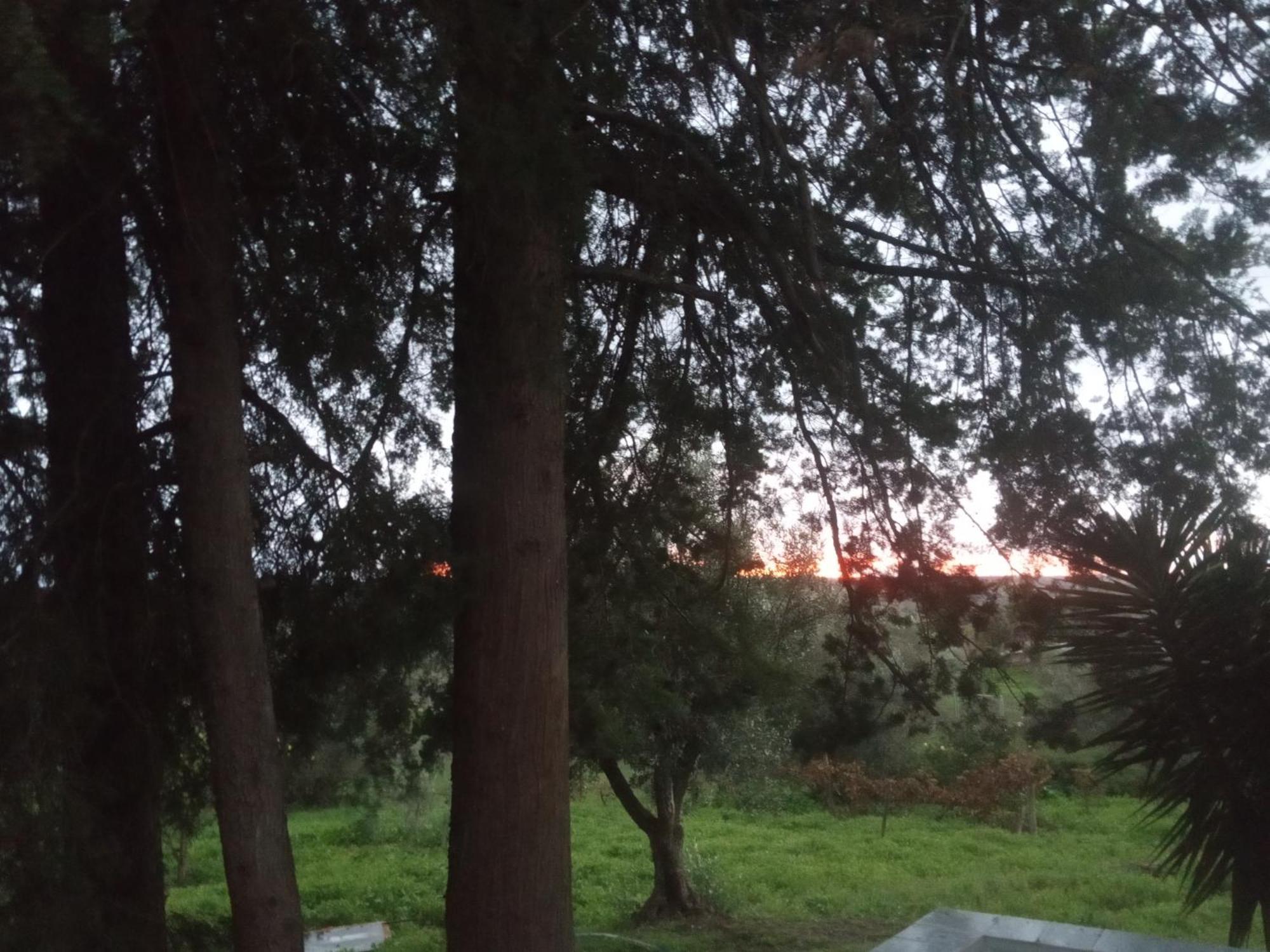 Monte Da Samarra Villa Avis Dış mekan fotoğraf