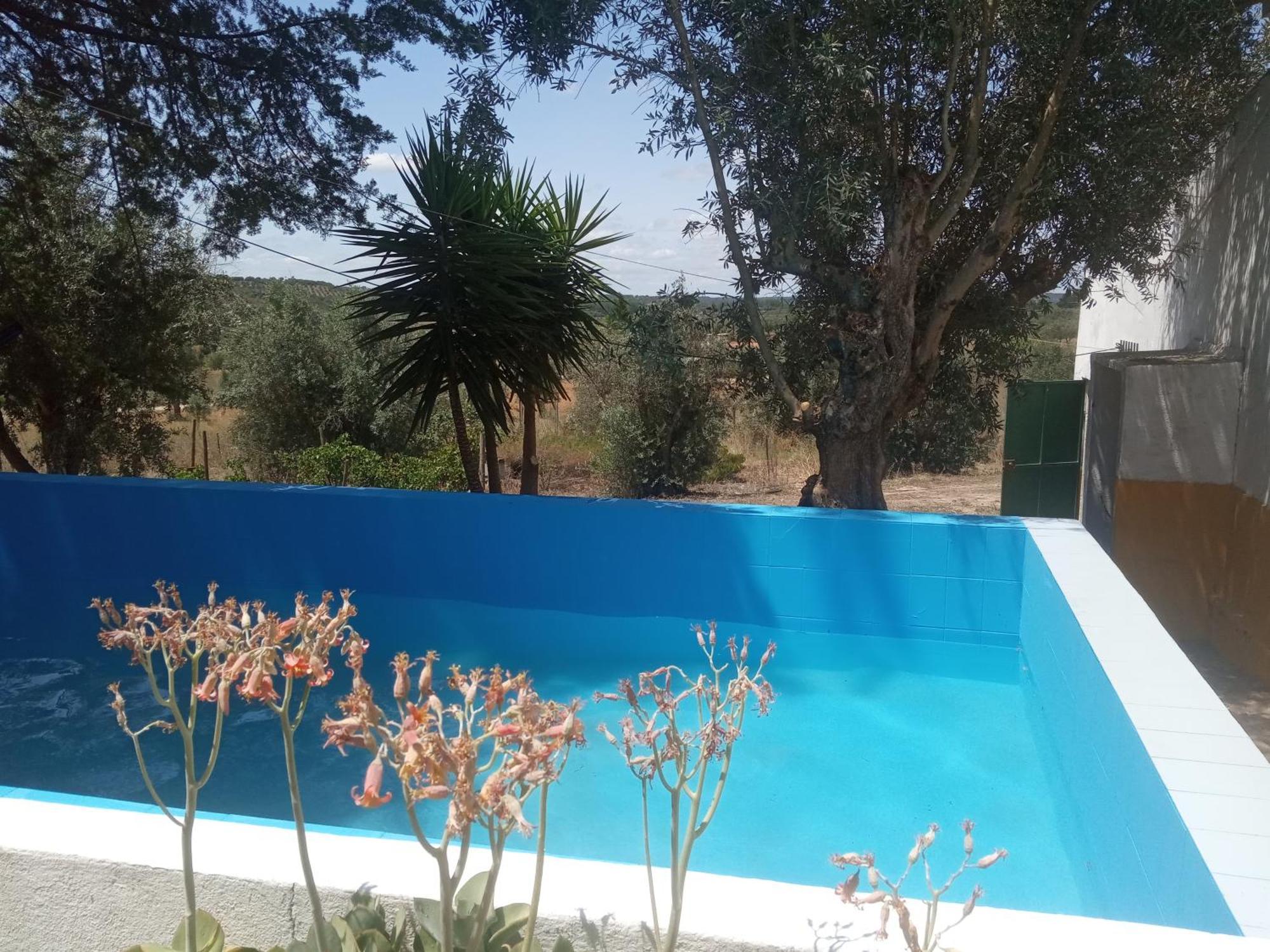 Monte Da Samarra Villa Avis Dış mekan fotoğraf