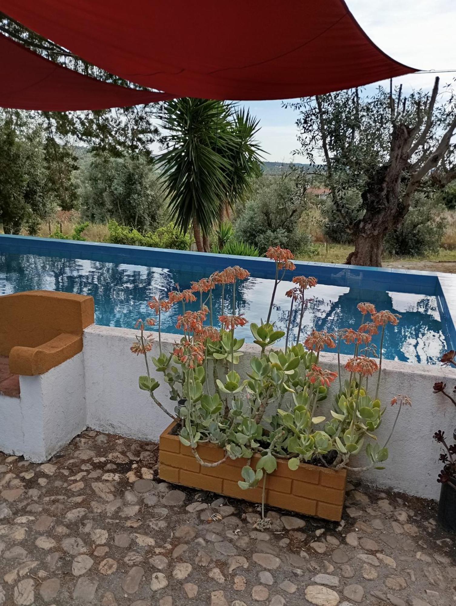 Monte Da Samarra Villa Avis Dış mekan fotoğraf