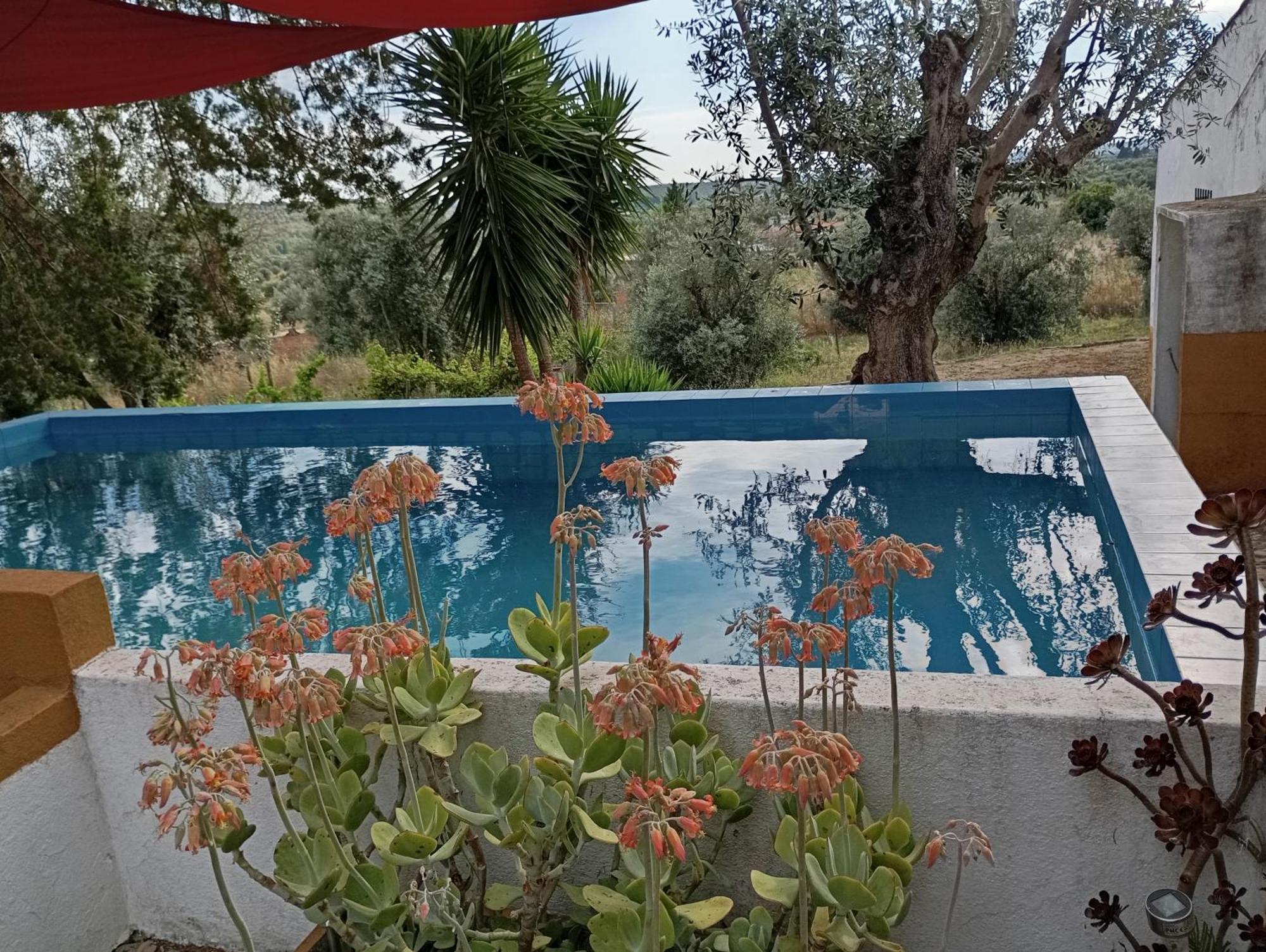 Monte Da Samarra Villa Avis Dış mekan fotoğraf