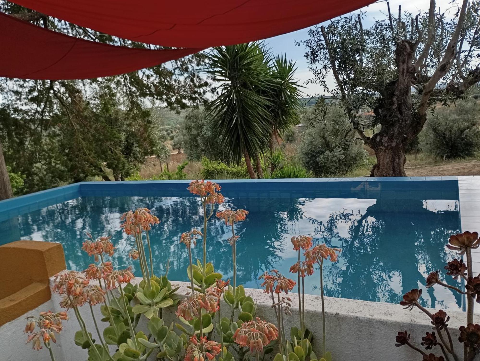 Monte Da Samarra Villa Avis Dış mekan fotoğraf